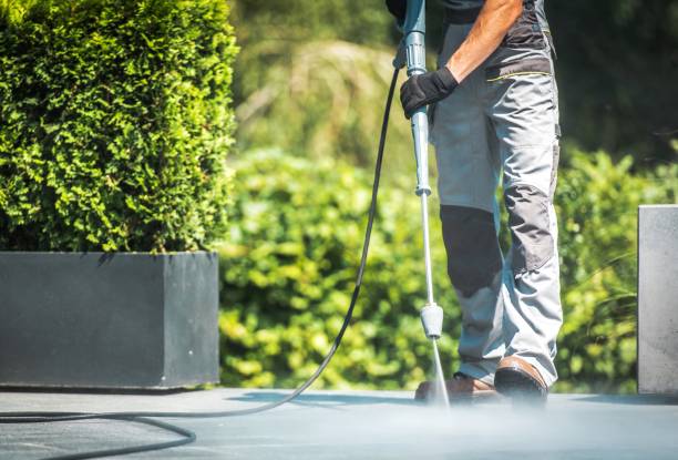Best Restaurant Pressure Washing  in Brookings, SD